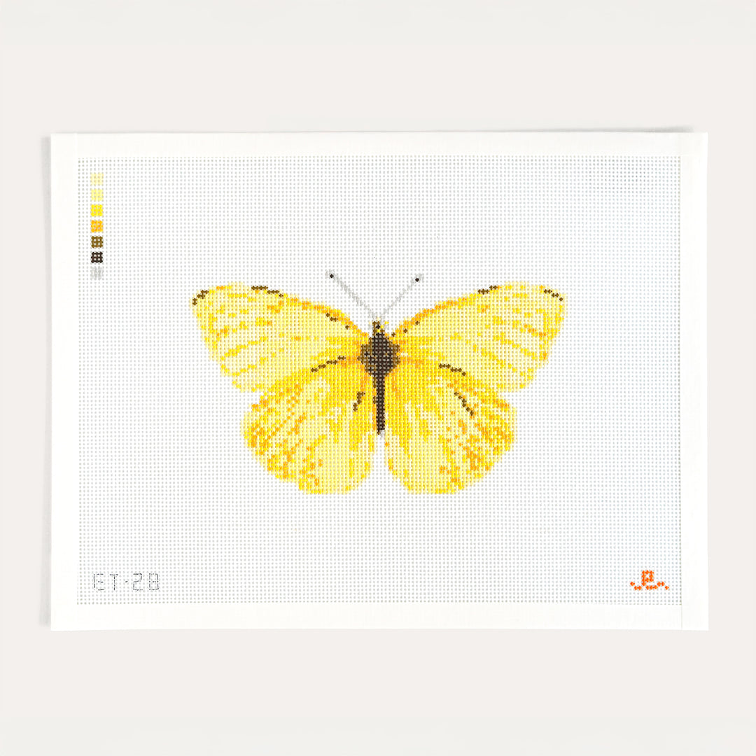 Cloudless Sulfur Butterfly needlepoint canvas by Elizabeth Taylor on 13 mesh