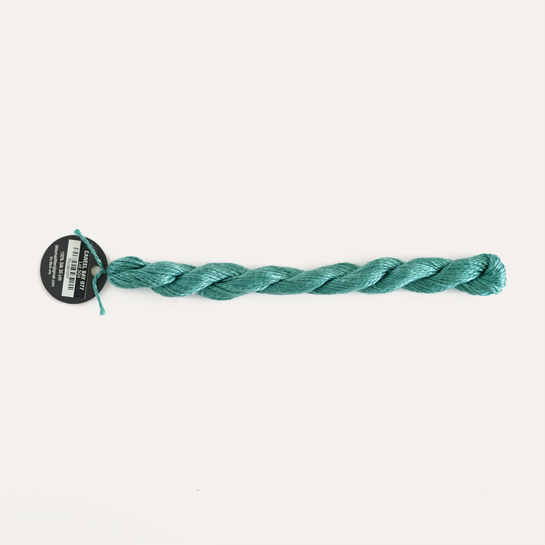 Planet Earth Silk in Caneel Bay 077 by Tilli Tomas, 100% silk needlepoint thread, 30 yard skein, suitable for 13 mesh canvas
